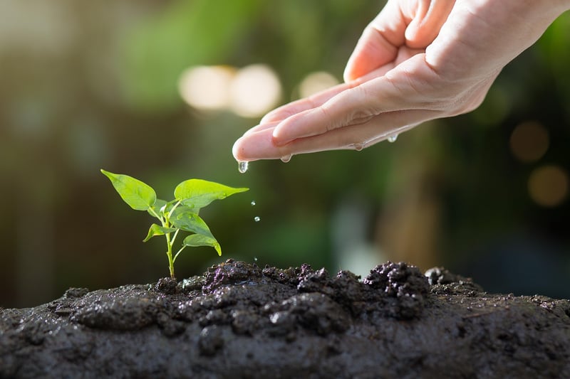 Gardening with recycled items