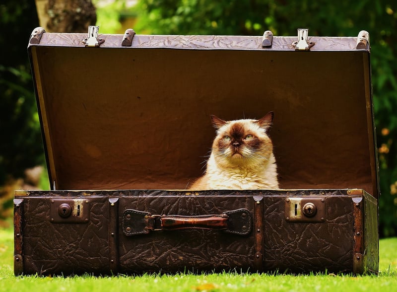 Upcycled Suitcase Drawers