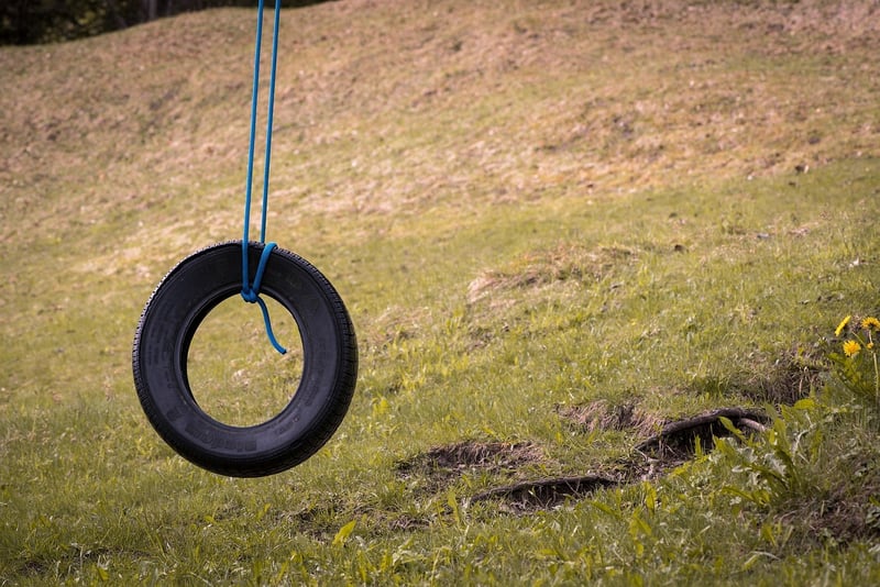Tire Swing Planter